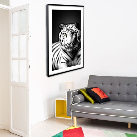 Tigre Blanco