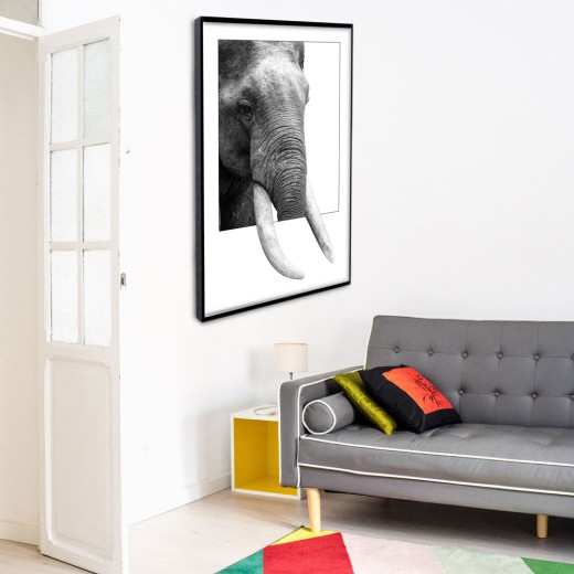 Elefante