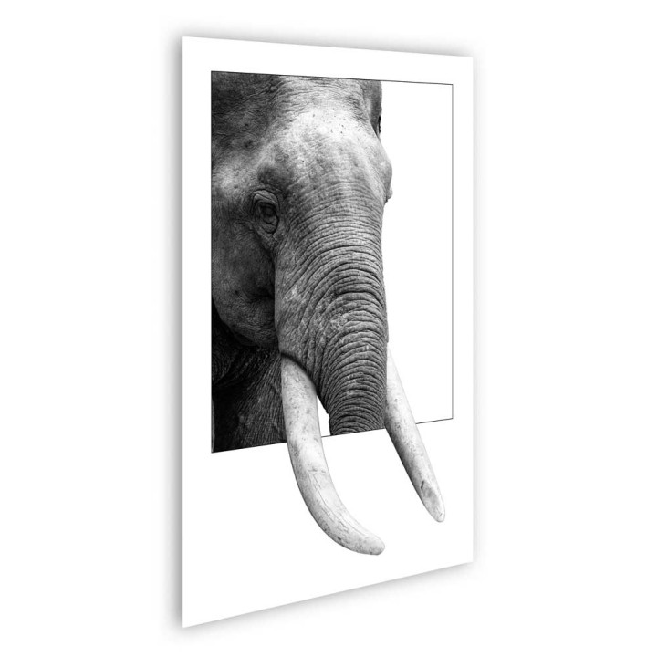 Elefante