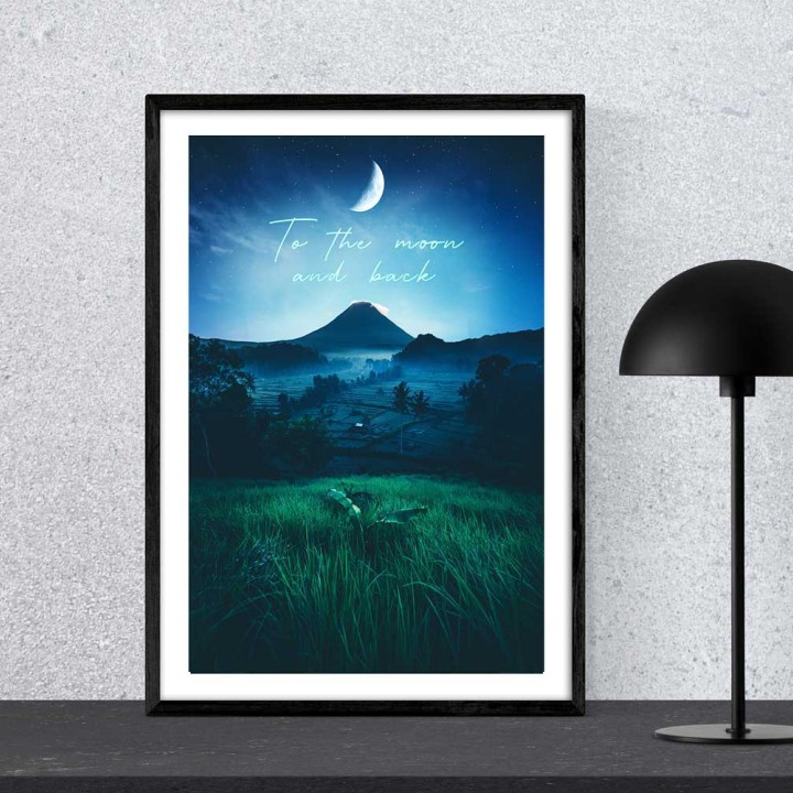 To the Moon and Back